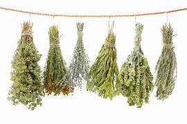 Dried Single Herbs